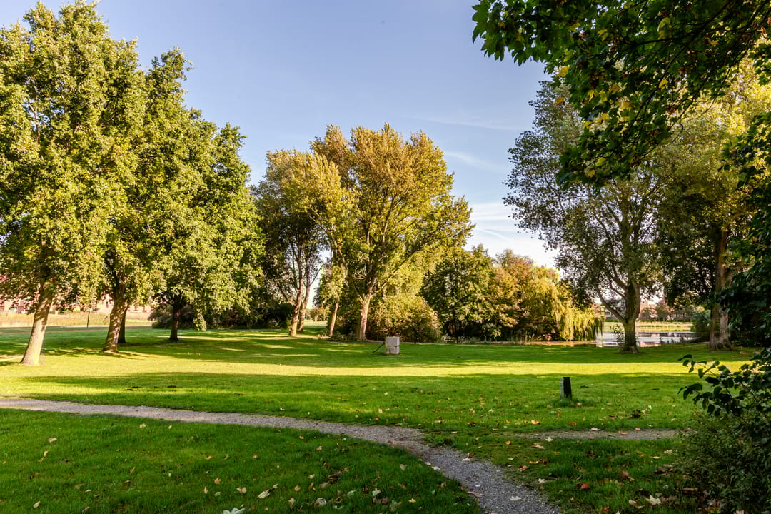 Foto 32 van Galjoen 29 17