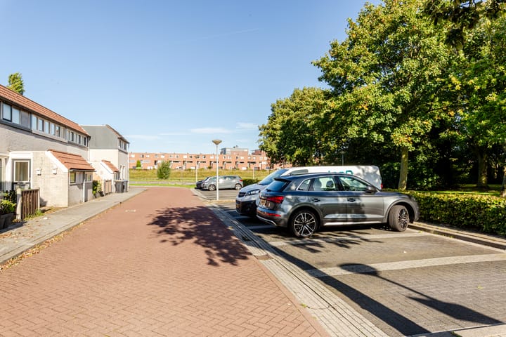 Foto 33 van Galjoen 29 17