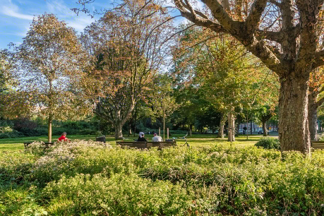 Photo 31 of Tugelaweg 137-B