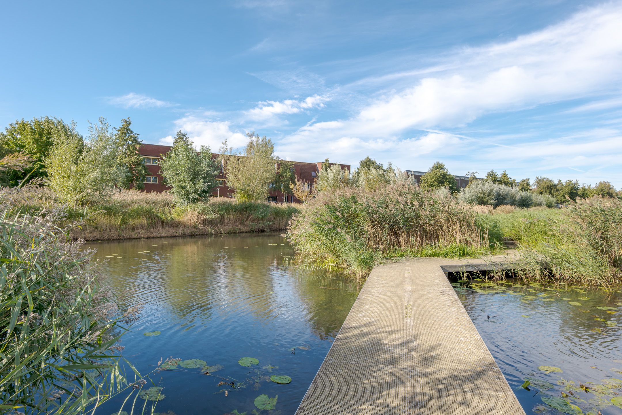 Photo 6 of Twistvlietpad 111