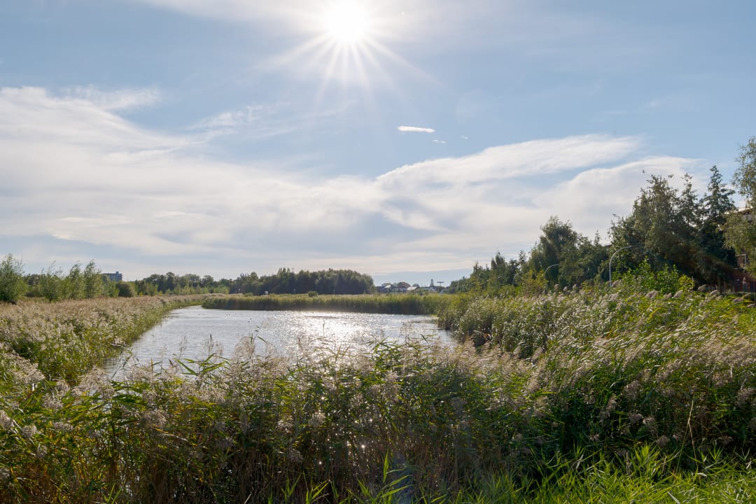 Photo 56 of Twistvlietpad 111