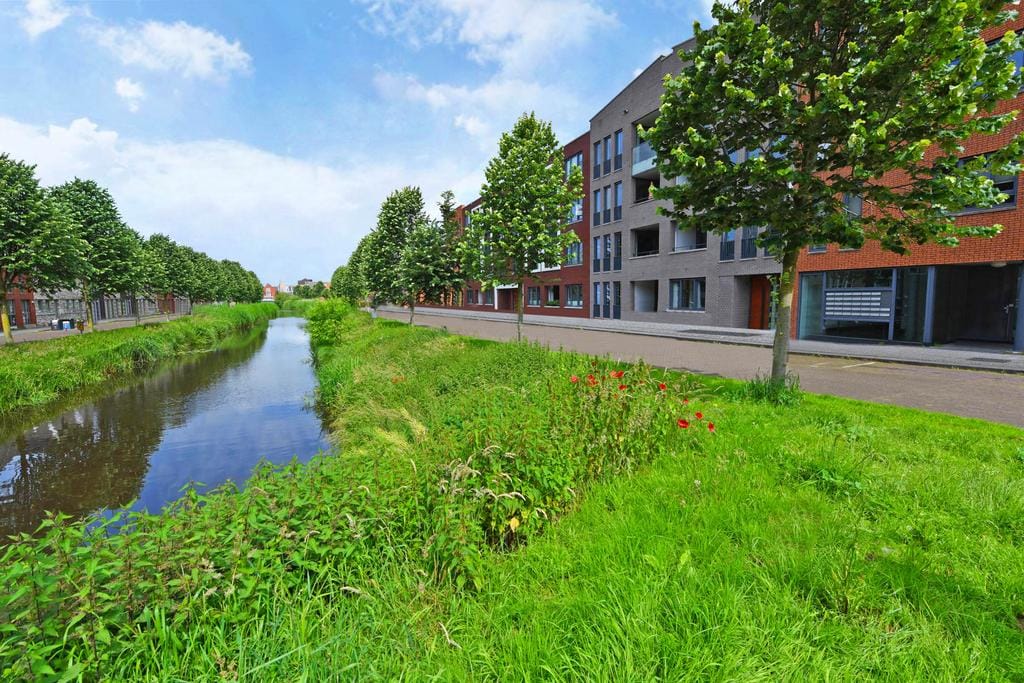 Foto 8 van Baak van Herkingen 54