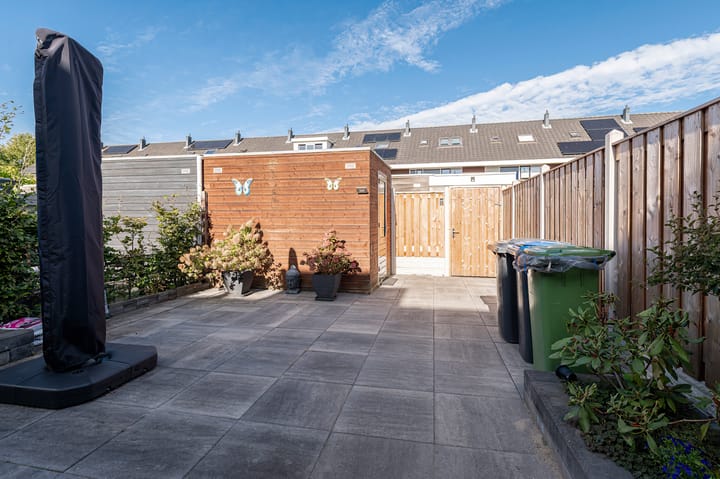 Foto 17 van Ruisvoorn 162