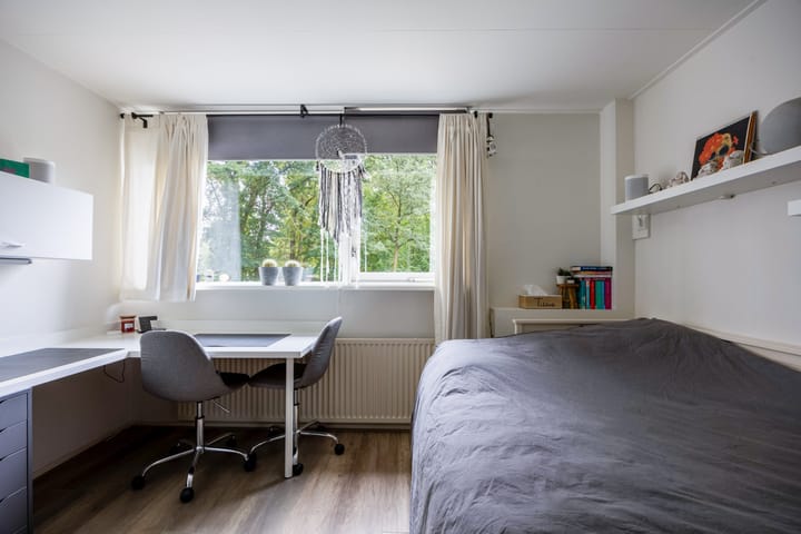 Photo 26 of Marter-revier 54