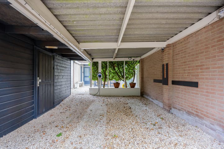 Photo 38 of Marter-revier 54