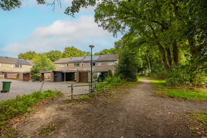 Photo 39 of Marter-revier 54