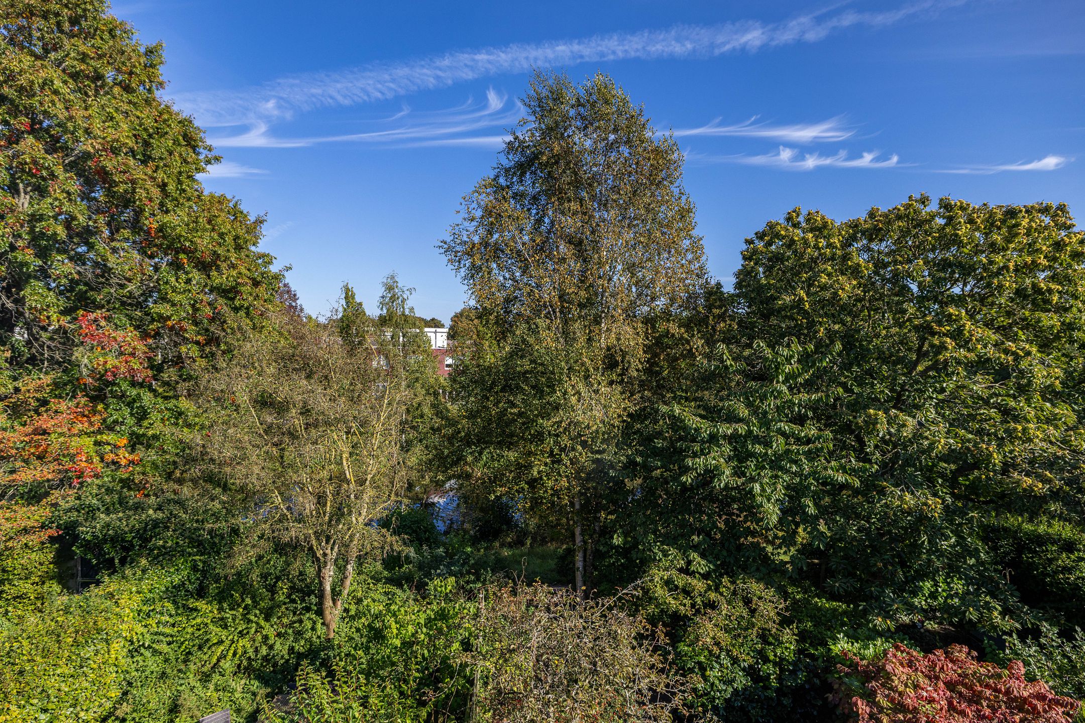 Foto 51 van Bordewijklaan 76