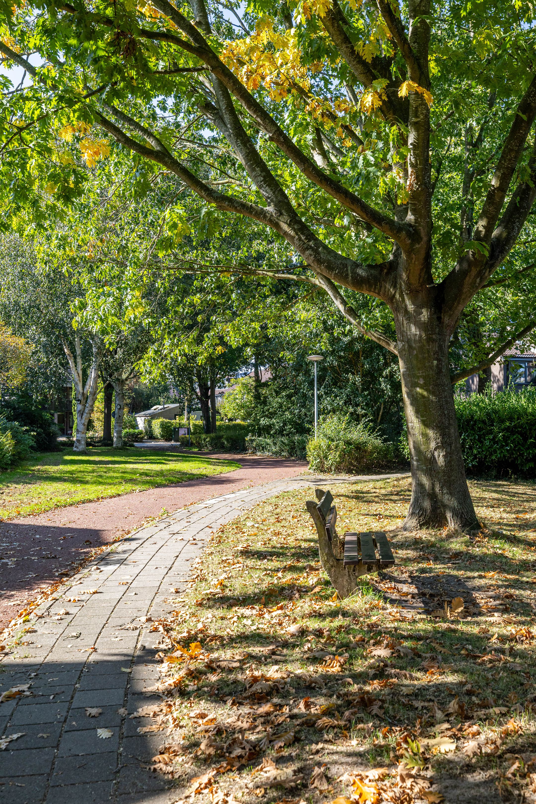 Foto 57 van Bordewijklaan 76