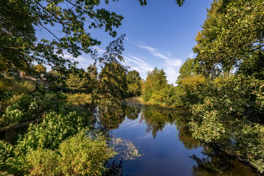 Foto 58 van Bordewijklaan 76