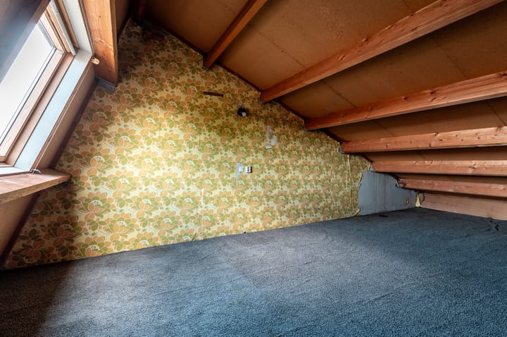 Foto 24 van Klavermeen 25