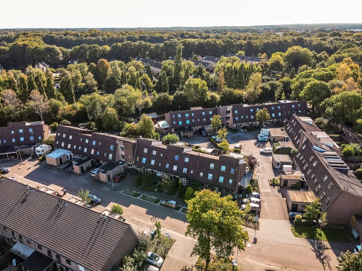 Foto 37 van Klavermeen 25