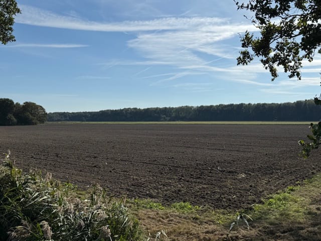 Oud Emmeloorderweg - Nagele - Afbeelding 1