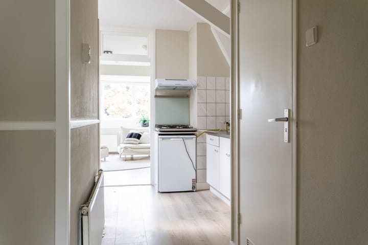 Foto 10 van Lange Beestenmarkt 113-C