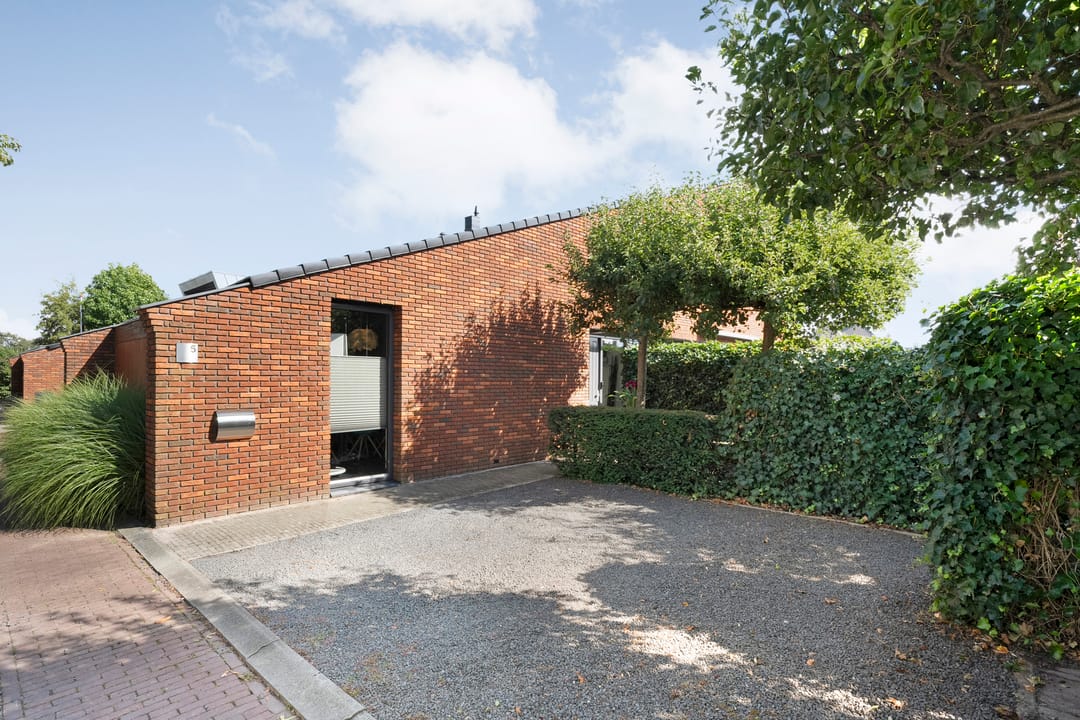 Foto 8 van Koningsvaren 5