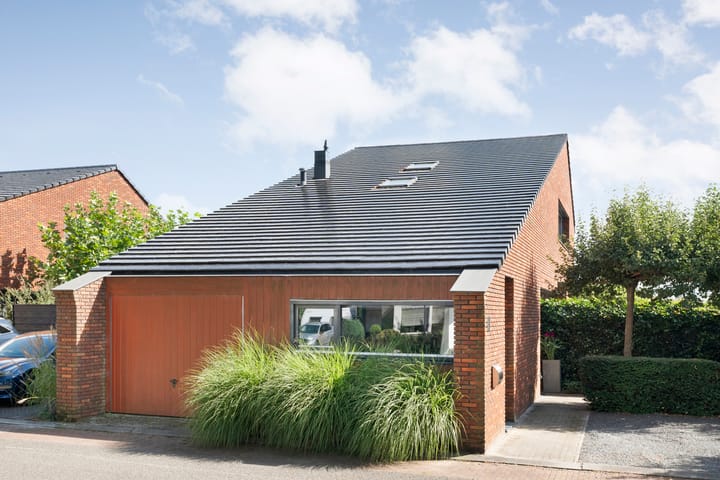 Foto 9 van Koningsvaren 5