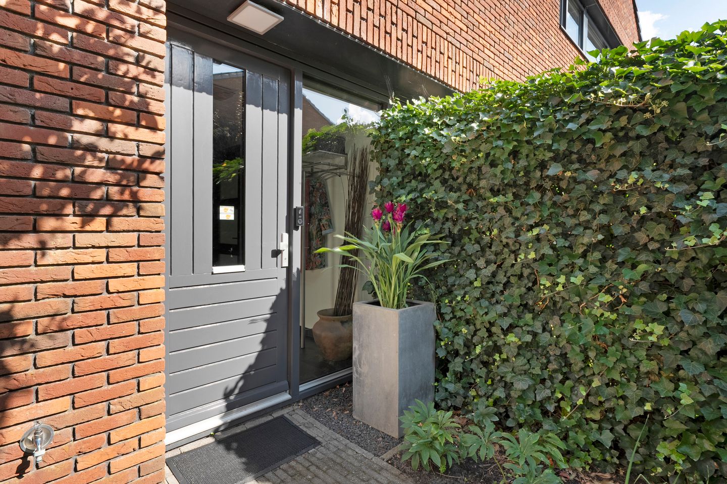 Foto 10 van Koningsvaren 5