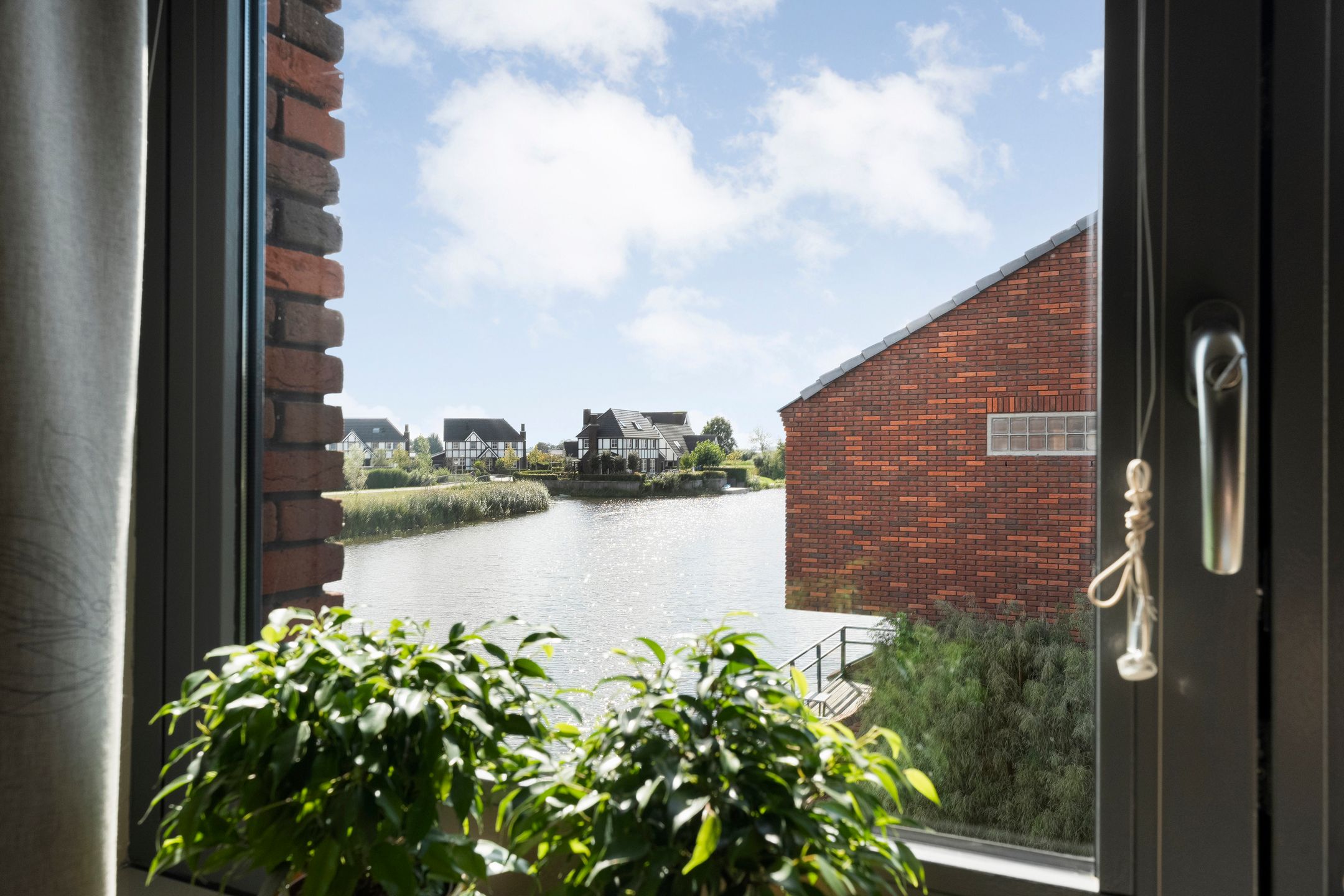 Foto 39 van Koningsvaren 5