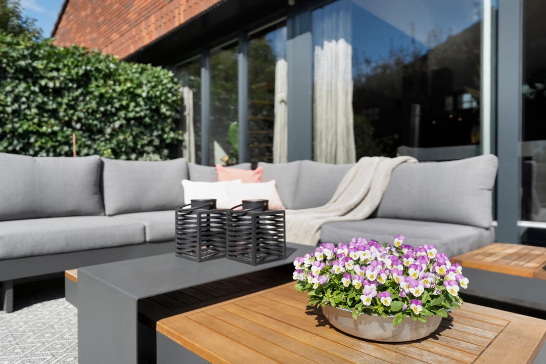 Foto 47 van Koningsvaren 5