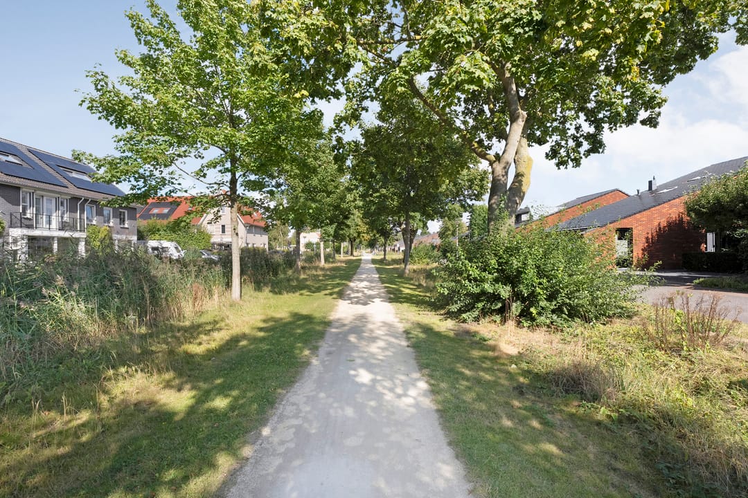 Foto 56 van Koningsvaren 5