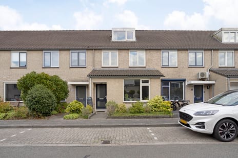 undefined main image