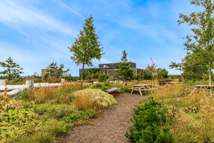 Photo 39 of Sint Maartenpad 13