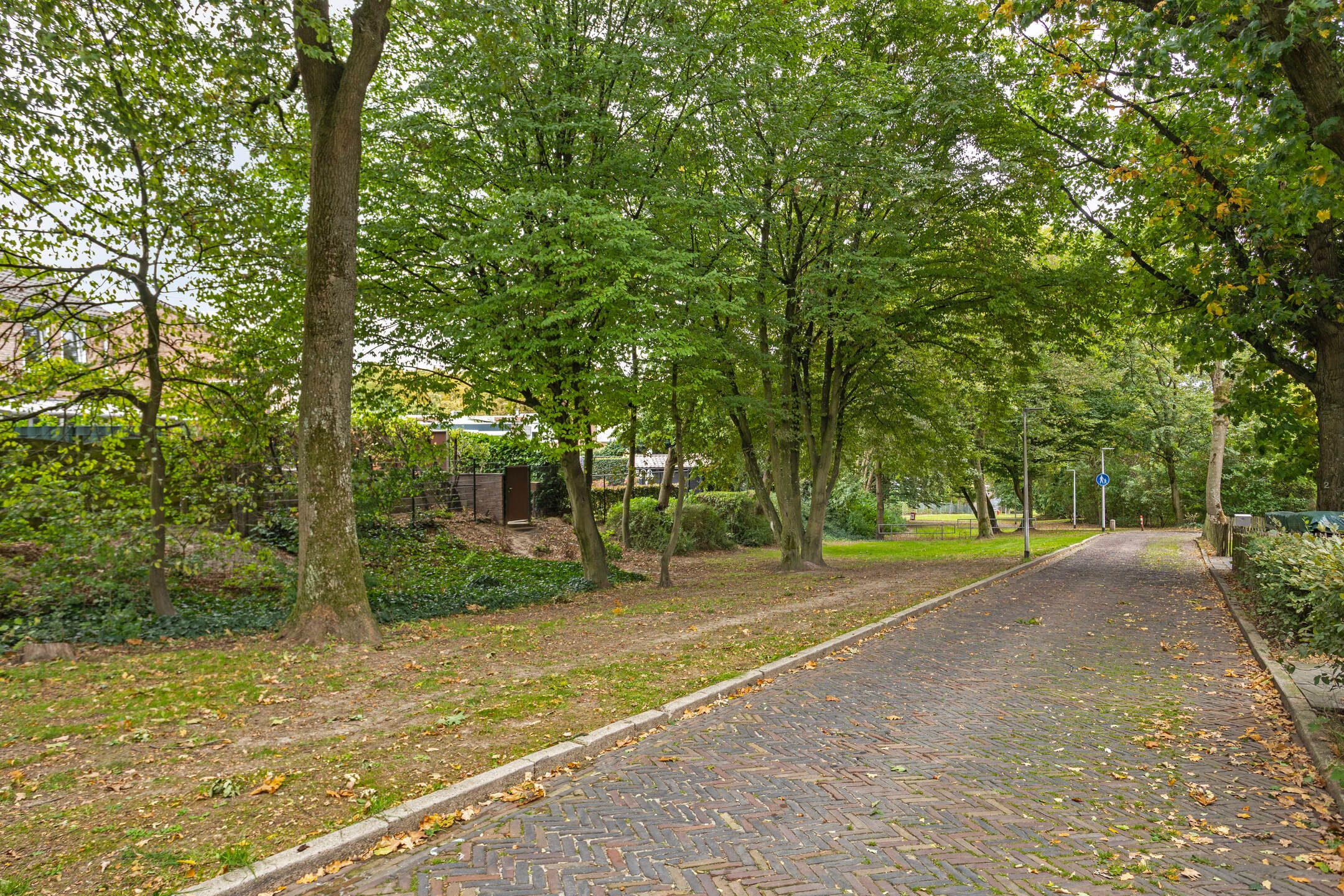 Foto 42 van Seingeverstraat 14