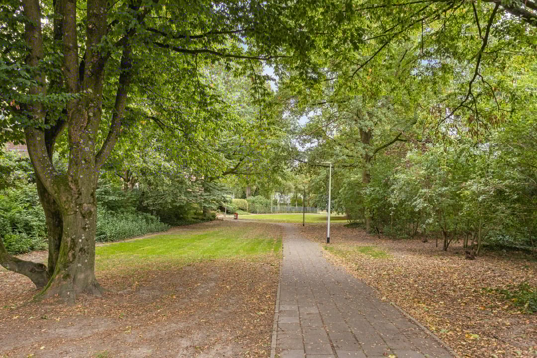 Foto 43 van Seingeverstraat 14