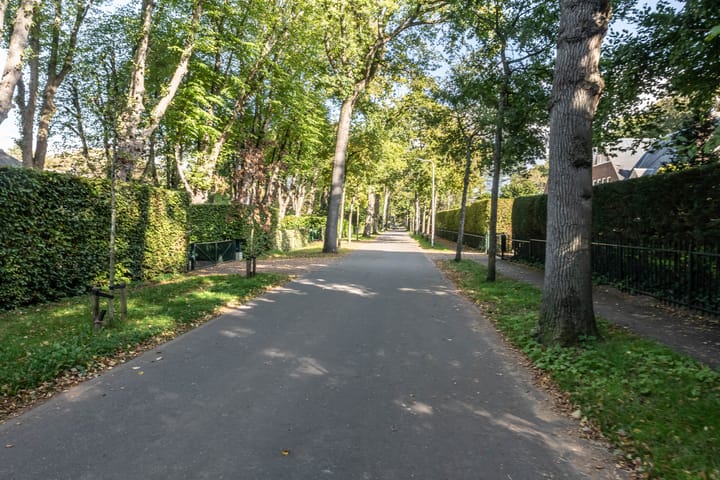 Foto 65 van Zuidlaan 16