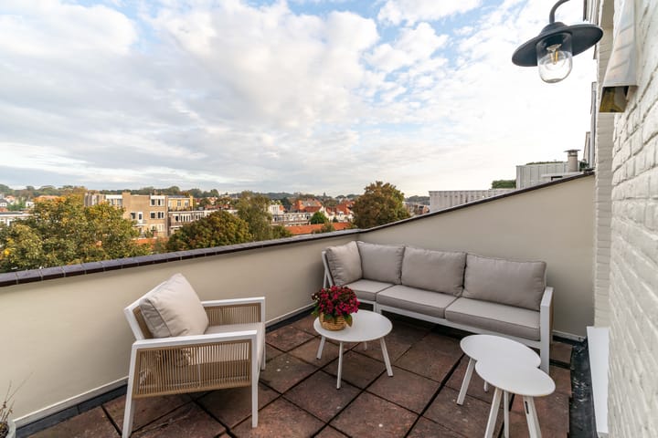 Photo 51 of Laan Copes van Cattenburch 44-F