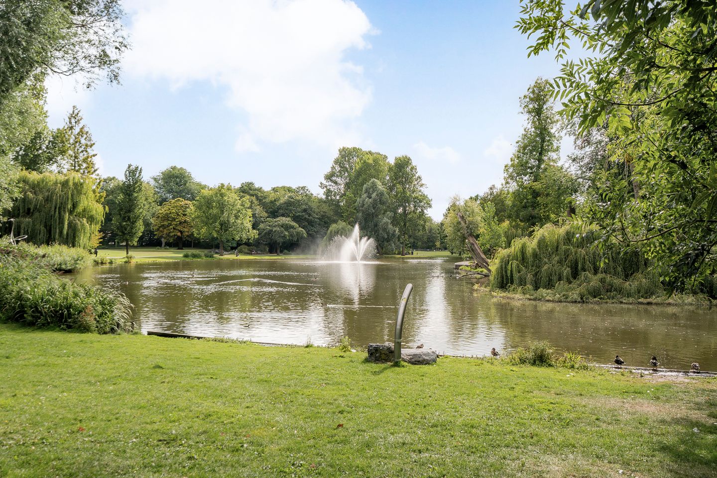 Foto 20 van Wagenaarstraat 16-2