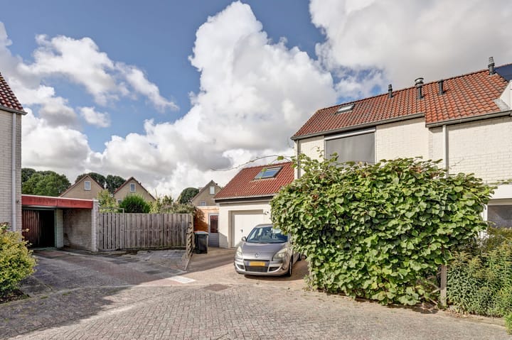 Photo 4 of De Konick 12