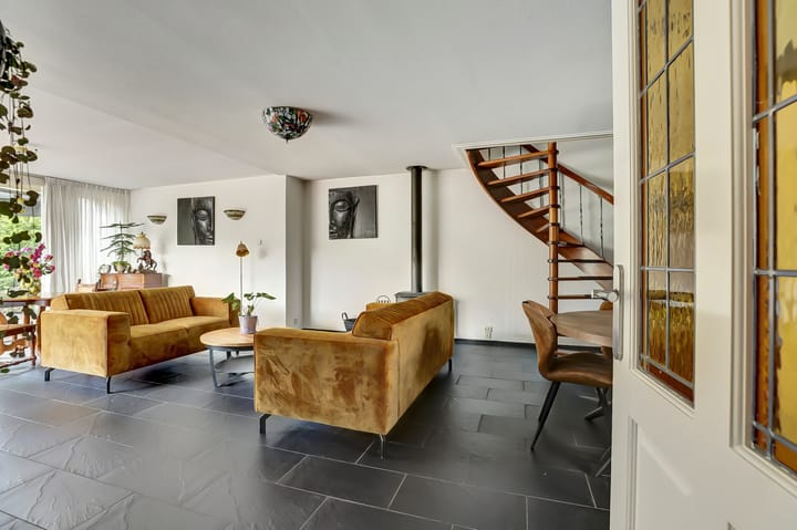 Photo 6 of De Konick 12