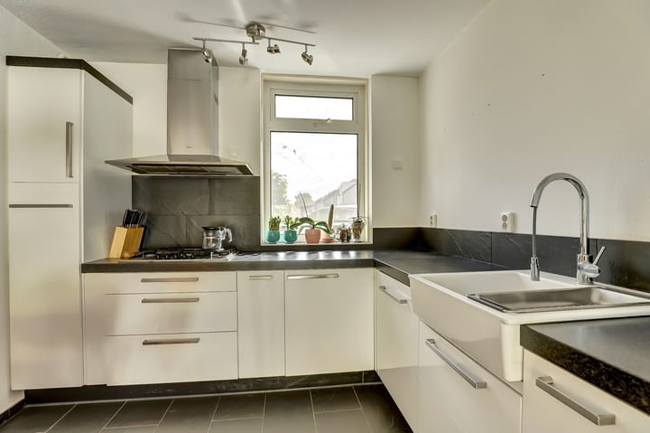 Photo 15 of De Konick 12