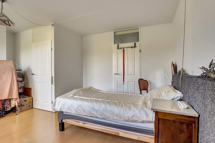 Photo 17 of De Konick 12