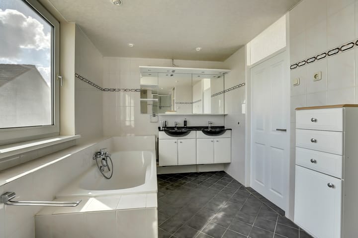 Photo 19 of De Konick 12