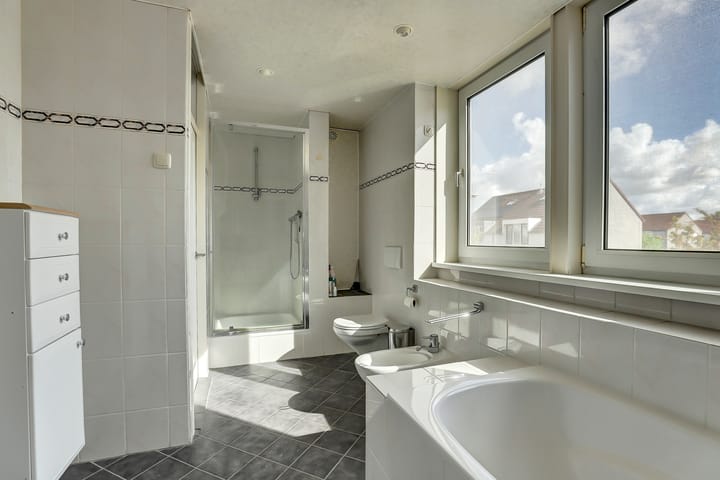 Photo 20 of De Konick 12