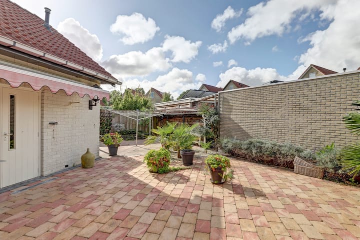 Photo 23 of De Konick 12