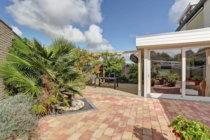 Photo 24 of De Konick 12