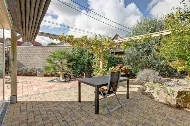 Photo 25 of De Konick 12