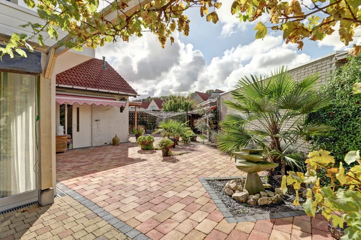 Photo 26 of De Konick 12