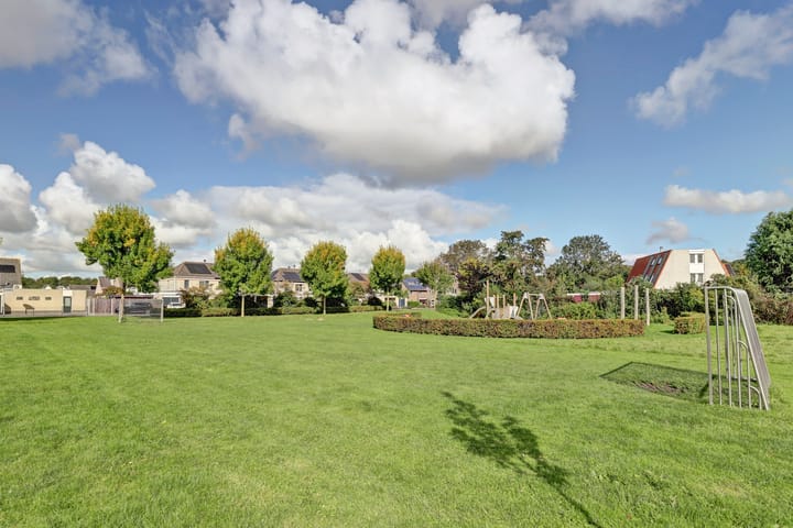 Photo 29 of De Konick 12