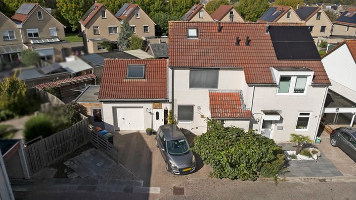 Photo 32 of De Konick 12