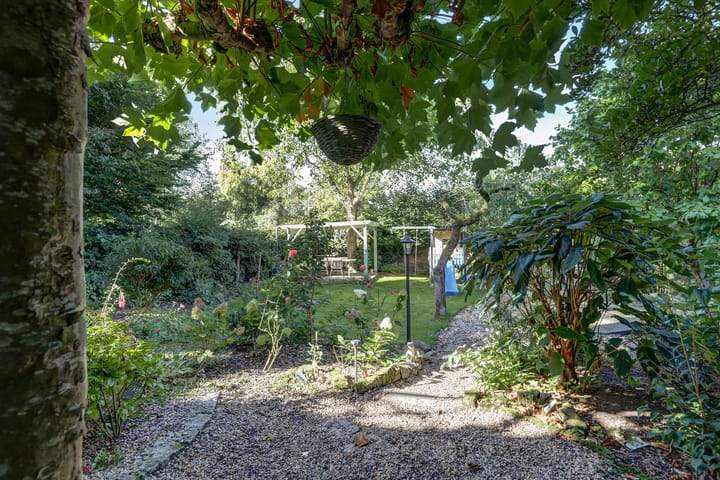 Foto 12 van Maasdijk 8