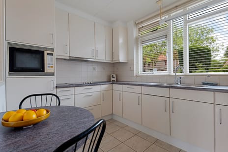 Roegoorn 38 tertiary image