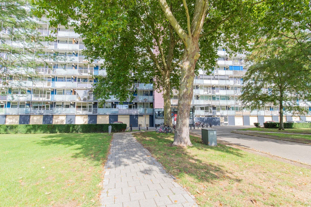 Foto 1 van Eisenhowerstraat 484