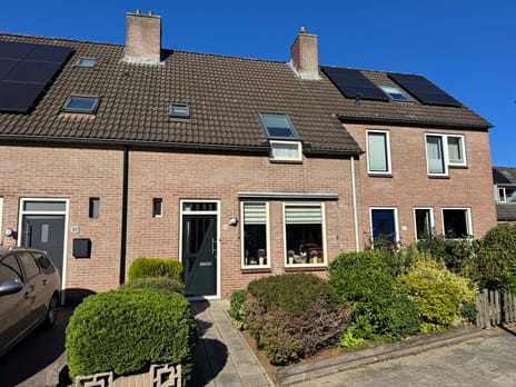 undefined main image