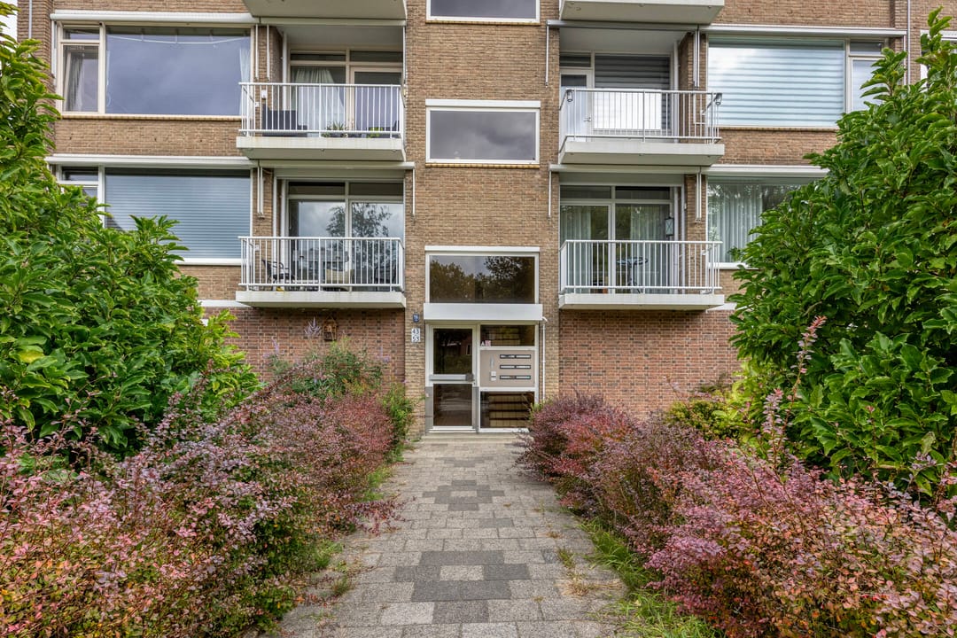 Foto 2 van Stuart Millpad 53