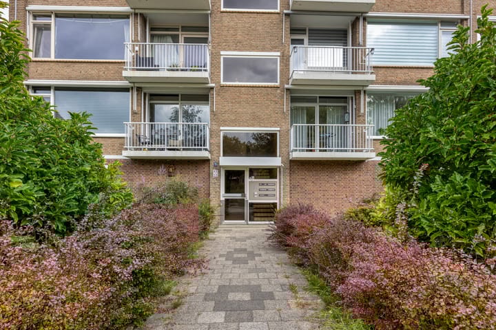 Foto 2 van Stuart Millpad 53