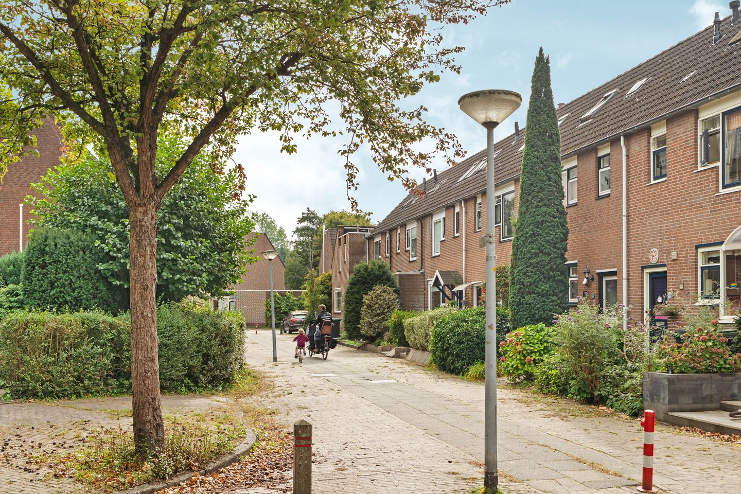 Foto 5 van Sportmark 72