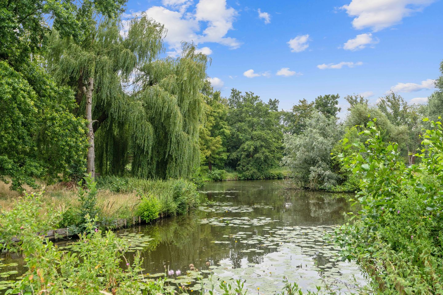 Photo 49 of Maasstraat 46